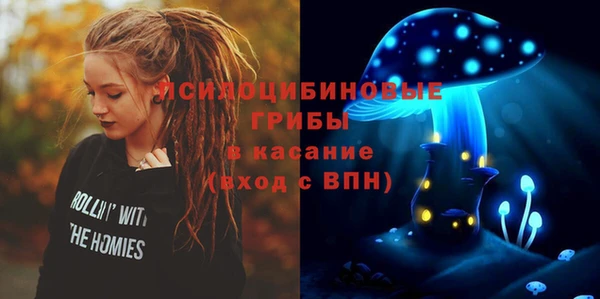 тгк Алзамай