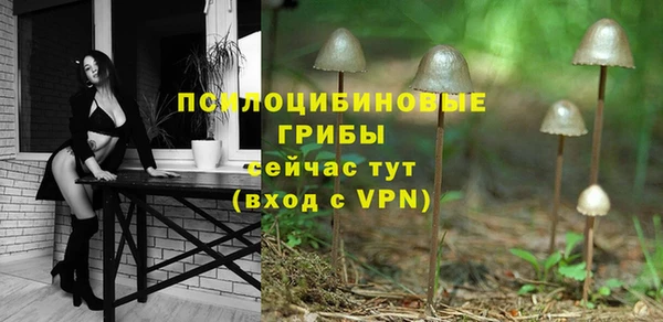 ешки Алексеевка