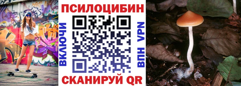 Галлюциногенные грибы ЛСД  ссылка на мегу зеркало  Чердынь  купить наркотик 